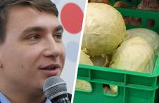 Снизились запасы, кончился сезон: ФАС объяснила причины подорожания овощей на Ставрополье