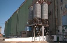 На Ставрополье мать и сын пойдут по суд за незаконную продажу 39 тысяч тонн зерна