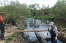 Пластиковый остров мусора убрали на воронежской реке