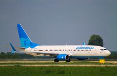 Птицы вмешались в посадку самолета из Волгограда в Москве