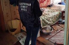 В Воронежской области вынесли приговор 60-летнему мужчине, который зарубил знакомого топором