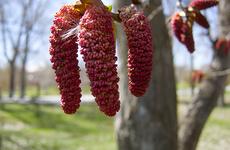 В Волгограде поменяли решение об окончании отопительного сезона 8 апреля