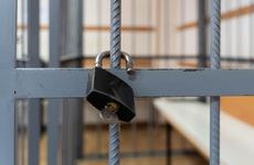 Воронежская ОПГ, грабившая сельскохозяйственные склады, предстанет перед судом