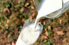 Волгоградский фермер призвал чиновников прекратить "фокусы" с отчетами