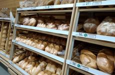 Волгоградцы ищут способ сохранить данные при блокировке Google и YouTube