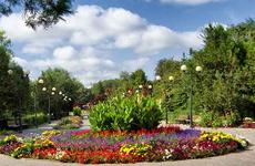 Главный архитектор Камышина Дмитрий Вайрих рассказал, как будут кормить отдыхающих в обновленном парке «Топольки»