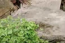 В Ставрополе из-за ливня затопило мост