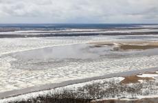 Ожидаемый в Нарьян-Маре ледоход может наступить раньше запланированного 26 мая