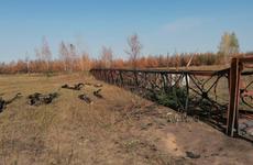 Пятерых россошанцев осудили за попытку похищения пожарной вышки и устроенный в процессе пожар