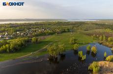 Временный запрет на сбор грибов и ягод ввели в Волгоградской области