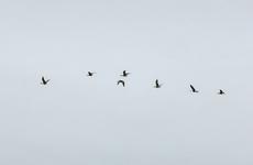 В НАО выдано более 1800 разрешений на охоту