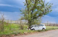 В Волгограде автомобиль влетел в дерево: погиб дед, внук в больнице