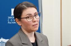 Донским чиновникам и депутатам посоветовали ездить на общественном транспорте