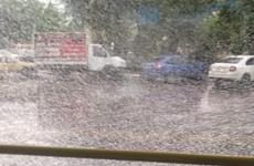 Стали известны подробности об обстреле автобуса в Волжском