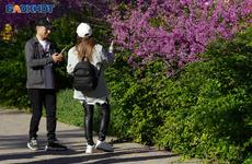 Ветер и дождь: погода в Волгограде 22 мая