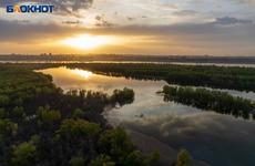 Владельцам теплиц в Волгоградской области советуют переехать подальше от рек