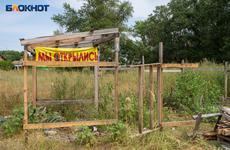 Киквидзенский район хотят стереть с карты Волгоградской области