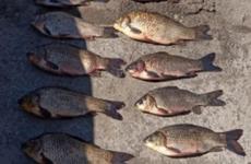 Волгоградские полицейские отобрали у горе-рыбака электроудочку и сети. Не исключена статья УК