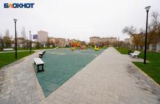 В сквере Волгограда засохли два десятка сосен