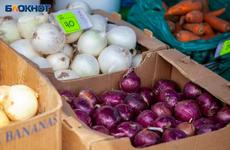 В Волжских продуктовых магазинах отменяют действия скидочных и накопительных карт