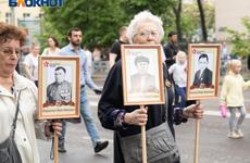 Маршрут движения «Бессмертного полка» изменили в Воронеже