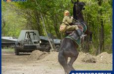 Вип-гости и два ветерана: в Волгограде прогремела военно-историческая реконструкция