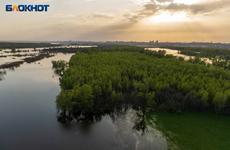 Дочь заживо закопала мать после ссоры в Волгоградской области