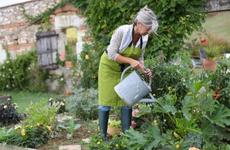 В Волгограде 10 СНТ могут быть отключены от электроэнергии за долги