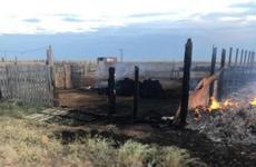 Волжанка спалила сигаретой ферму в Волгоградской области