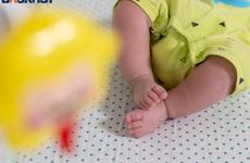 Прокуратурой Центрального района г.Воронежа принято участие в работе общественной приемной губернатора