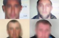 Дело о похищении 276 овец в Воронежской области передали в суд