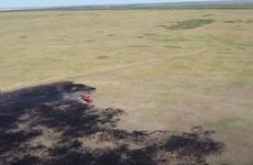 Аграрии Волгоградской области намерены собрать в уборочную кампанию 4,7 млн тонн зерна