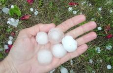 Убойный град в Камышине попал на видео