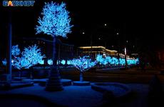 В Ставрополе возбудили дело из-за хищения 30 млн рублей на покупке светодиодных деревьев