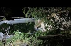 В СК назвали предварительную причину крушения Ан-2 под Краснодаром