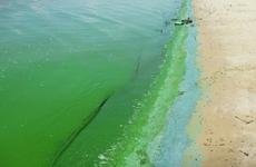 Спектр мероприятий для улучшения качества воды в Цимлянском водохранилище будет расширен