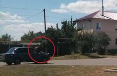В Воронежской области оштрафовали женщину, катавшую на капоте свою дочь В Воронежской области оштрафовали женщину, катавшую на капоте свою дочь