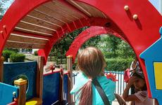 Волгоградцам рассказали об опасном кишечном лямблиозе, который чаще всего поражает детей