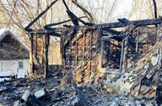 В Воронежской области мужчину приговорили к 5,5 годам колонии за жестокое убийство брата