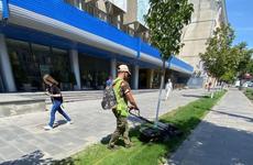 Власти Ростова начали наказывать людей за покос растительности