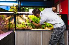 В Волгоградской области мужчина умер от удушья