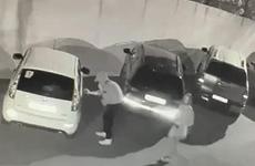 В Воронеже неизвестные исписали более 100 машин буквой Z