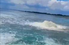 В Варнавинском водохранилище забурлила и окрасилась вода