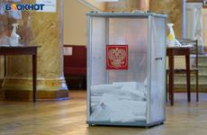 Эсеры не примут участие в довыборах по двум воронежским округам