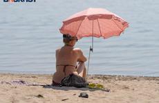 31-градусная жара снова атакует воронежцев