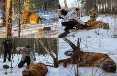 Калужская телевышка вновь приняла хищный окрас