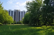За пять месяцев петербуржцы отправили в ГЖИ более 6 тысяч обращений о подделке подписей