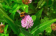 Под Волгоградом молодой муж всадил нож в печень любовнику жены