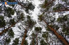 В Воронежской области больше 130 человек привлекли к ответственности за нарушения правил охоты В Воронежской области больше 130 человек привлекли к ответственности за нарушения правил охоты
