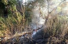 Волгоградские полицейские установили виновного в крупном ландшафтном пожаре